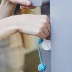 Somfy 2401489 - Badge D'activation Et De Désactivation Alarme | Fonction Mains Libres | Compatible Somfy Home Alarm (Advanced), Somfy One (+) - Blanc -ROYAL CANIN Soldes Magasin 19648903 3