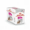ROYALCANIN Mousse Royal Canin Exigent Pour Chien - 12 Sachets Fraîcheur 85 G -ROYAL CANIN Soldes Magasin 24995582 1