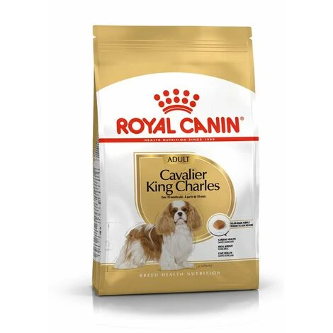 Croquettes Royal Canin Cavalier King Charles : 1,5 Kg 3 Croquettes Royal Canin Cavalier King Charles : 1,5 Kg