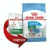 Nourriture Que Royal Canin Mini Starter Pour Les Mres Et Les Petits Chiots - 1kg 1 Nourriture Que Royal Canin Mini Starter Pour Les Mres Et Les Petits Chiots - 1kg -ROYAL CANIN Soldes Magasin 55418283 1