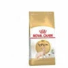 Nourriture Que Royal Canin Sphynx Pour Les Chats Sphinx Adultes - 2kg -ROYAL CANIN Soldes Magasin 55418318 1