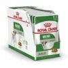 Royal Canin Mini Adulte - Viande š Salsa - 12 Enveloppe X 85 GR -ROYAL CANIN Soldes Magasin 55419043 1