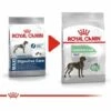 Nourriture Que Royal Canin Maxi Soins Digestifs Grands Chiens Avec Des Pistes Sensibles - SACE 10 Kg -ROYAL CANIN Soldes Magasin 55419133 1