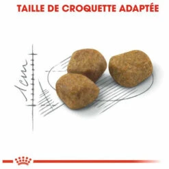 ROYAL CANIN Croquette Chat Royalcanin Indoor 7+ 400gr -ROYAL CANIN Soldes Magasin 55659503 2