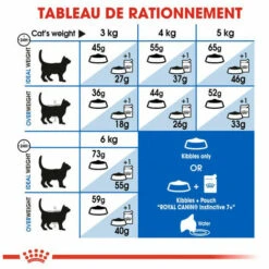 ROYAL CANIN Croquette Chat Royalcanin Indoor 7+ 400gr -ROYAL CANIN Soldes Magasin 55659503 4