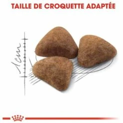 Page de garde 9 Page de garde -ROYAL CANIN Soldes Magasin 55659504 2