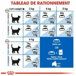 ROYAL CANIN Croquette Chat Royalcanin Indoor 400gr -ROYAL CANIN Soldes Magasin 55659504 4